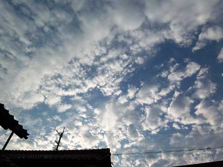 0909秋空