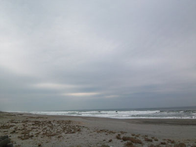 新居の海