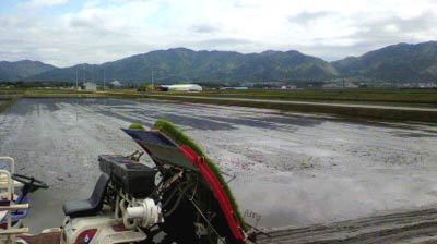 110507田植え.jpg