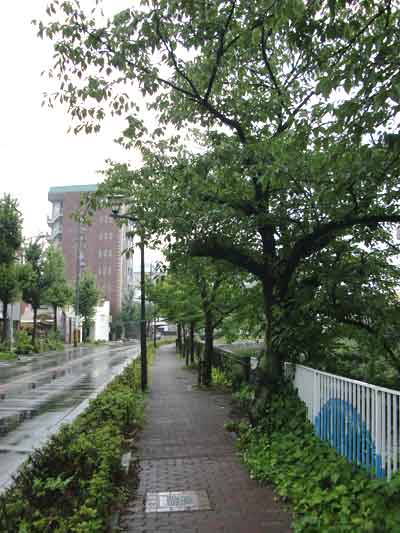 130724現調.jpg
