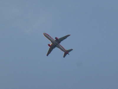 140731_01.jpg