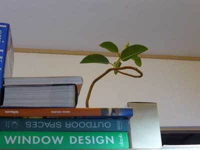 150407_00.jpg