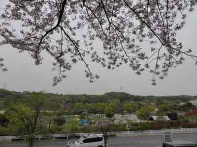 160410_007.jpg