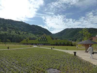 160605_127.jpg