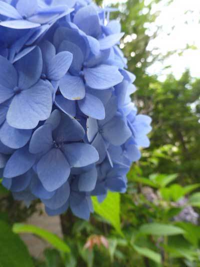 160701_001.jpg