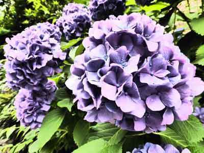 170618_005.jpg