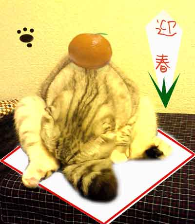 2012鏡くま.jpg