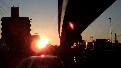 夕日 1104.jpg