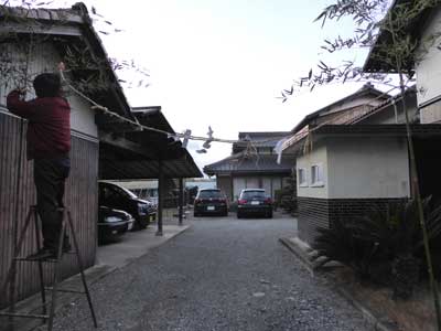 P1000578.jpg