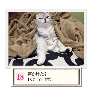 cat18.jpg