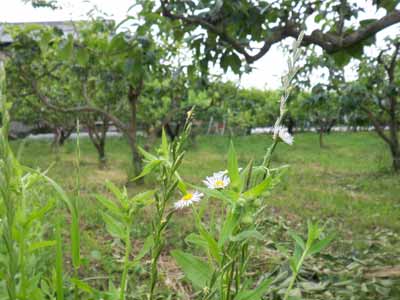 hbt120609.jpg