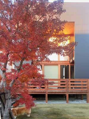 ino-121201.jpg