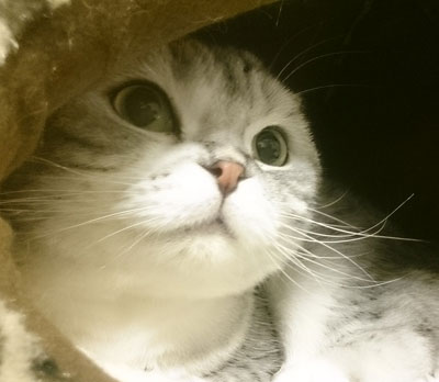 kuma140222.jpg