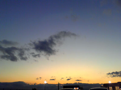 mozo-120211.jpg