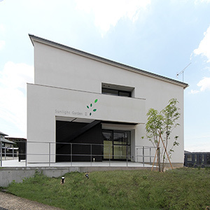 slg2-300.jpg