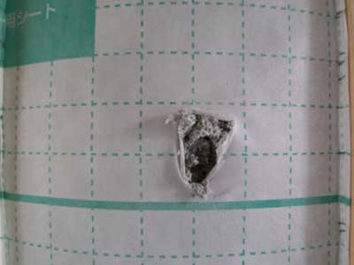 srym120418_03.jpg