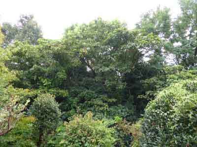 tkm150828_019.jpg