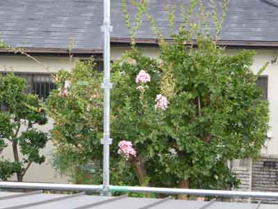yt140821_30.jpg
